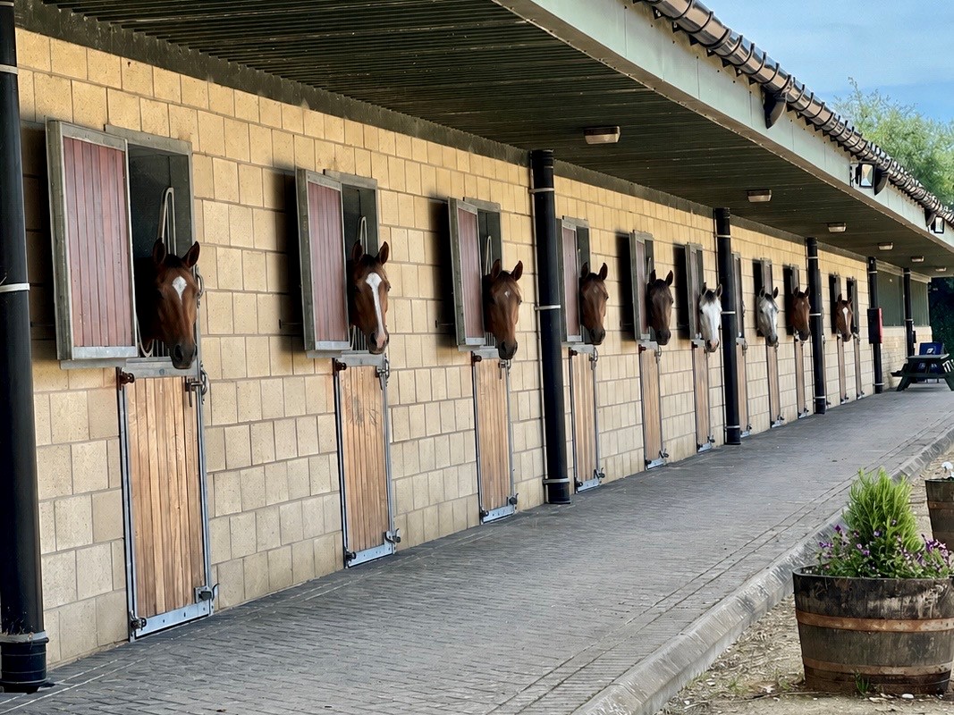 Stables