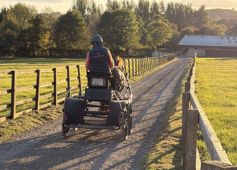 Carriage Driving