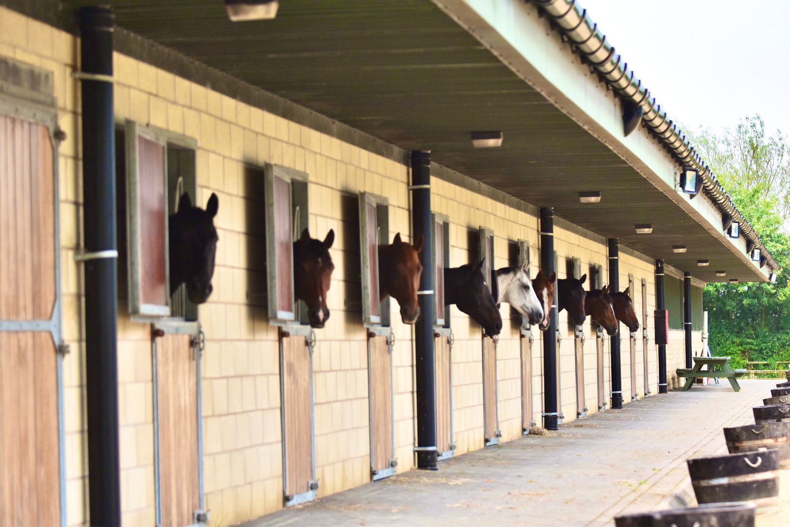Stables